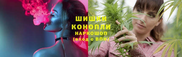 прущие грибы Абдулино