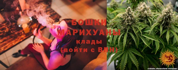 прущие грибы Абдулино