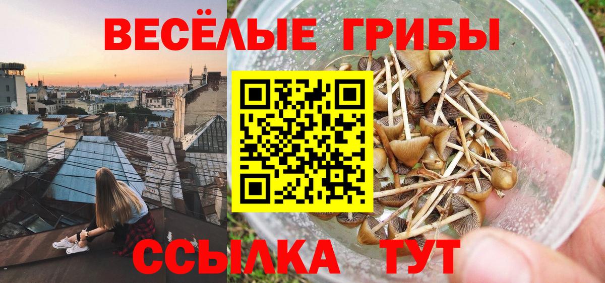 Галлюциногенные грибы мицелий Химки