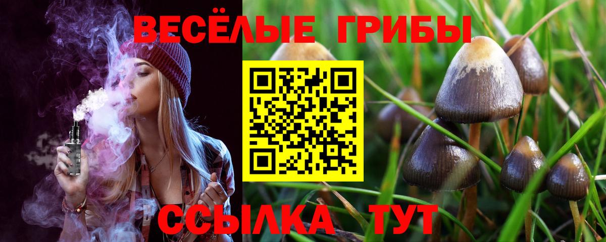 Химки  Псилоцибиновые грибы Psilocybe  Вход с VPN 